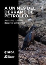 A un mes del derrame de petróleo: artículos sobre el desastre ambiental